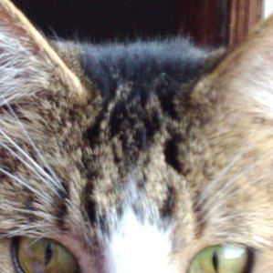 Meet your Posher, Becky